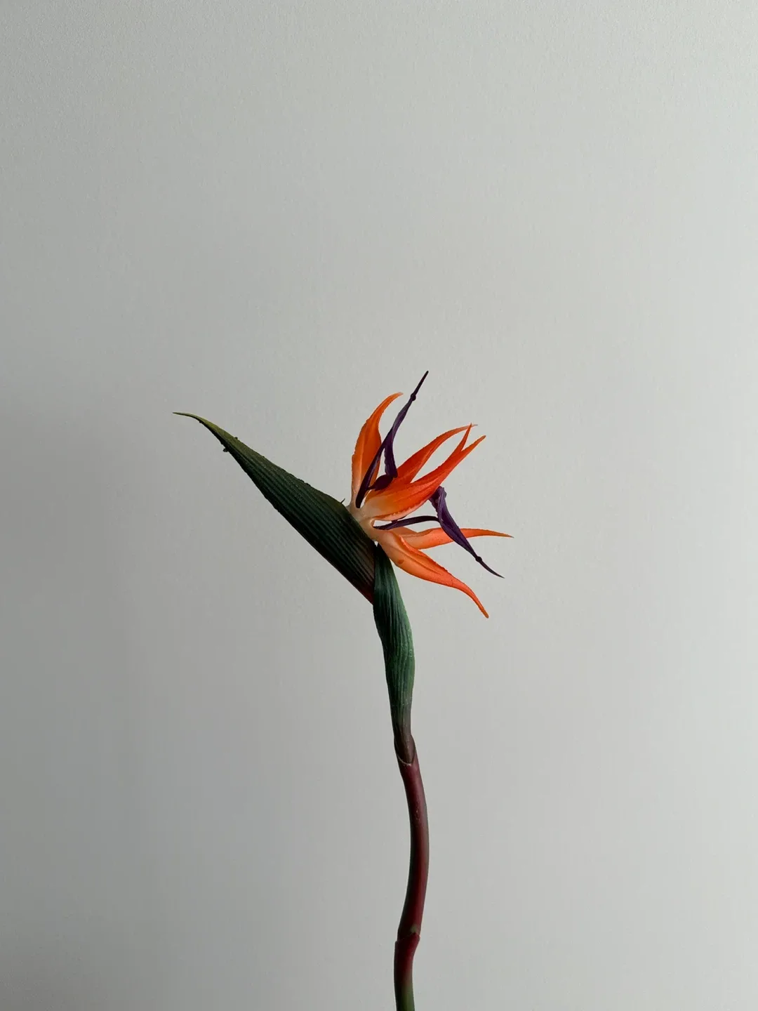 Bird of Paradise Artificial Flower