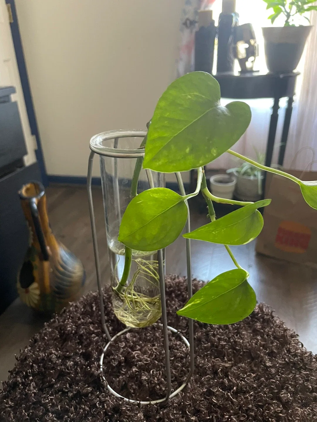 Photos image indicator(4)