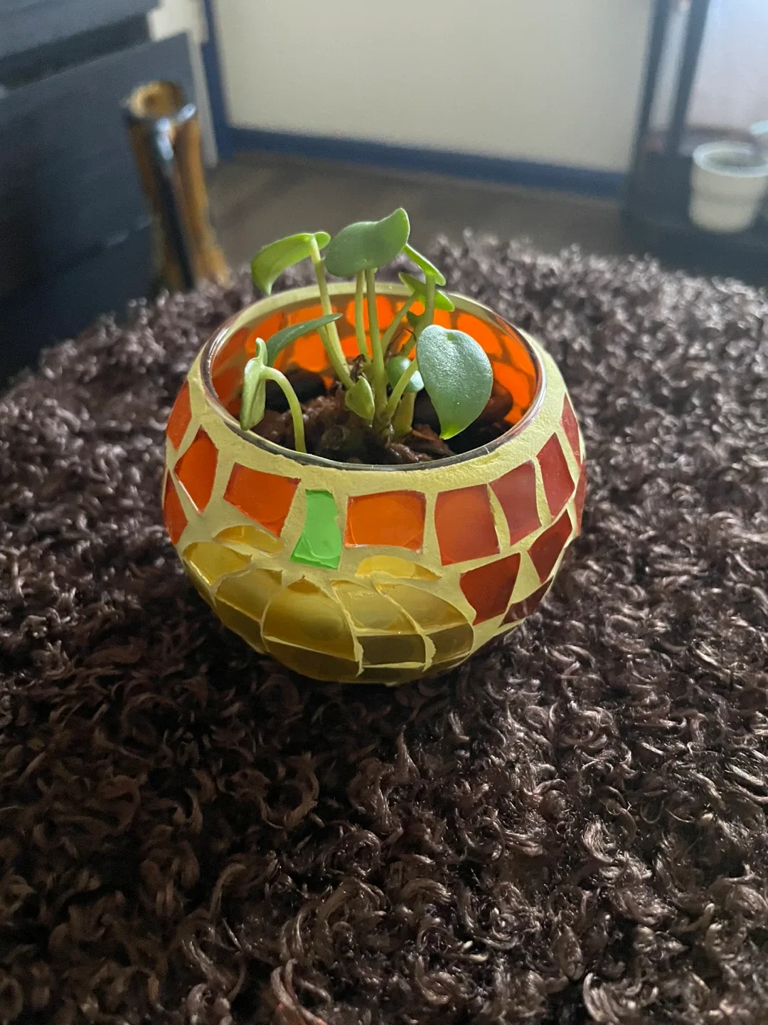 Photos image indicator(6)