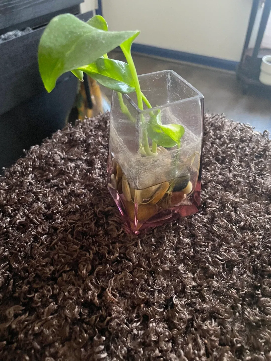 Photos image indicator(7)