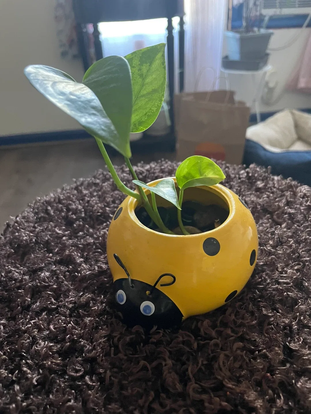 Photos image indicator(8)