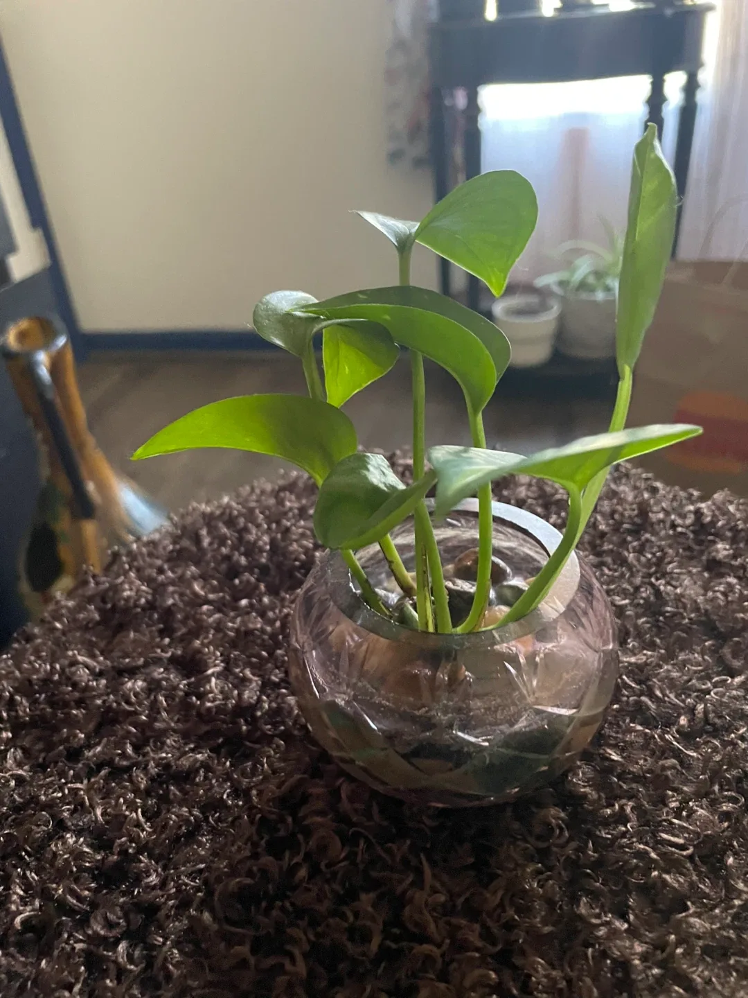 Photos image indicator(10)