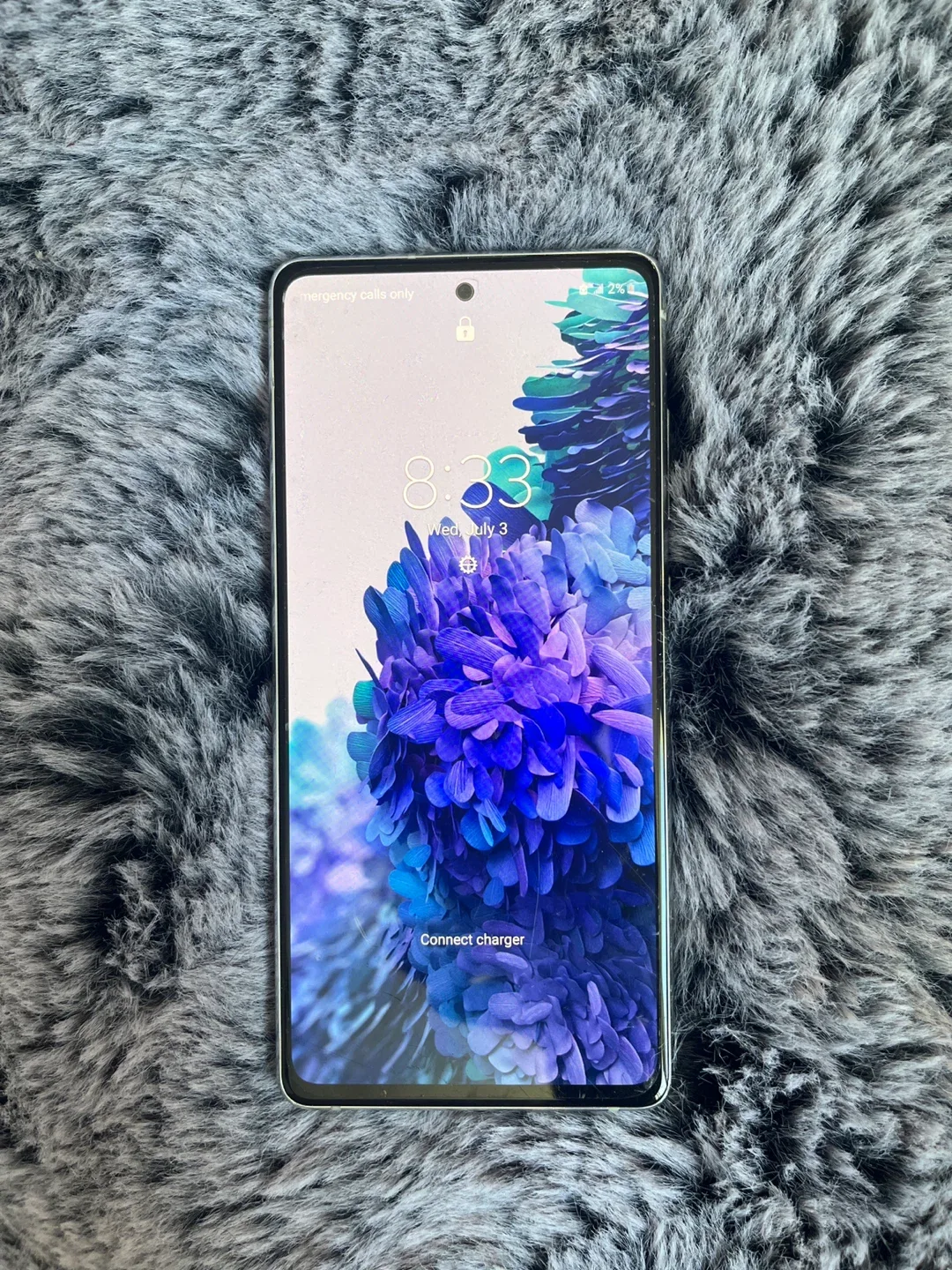 Samsung Galaxy S20 FE - White image indicator(2)