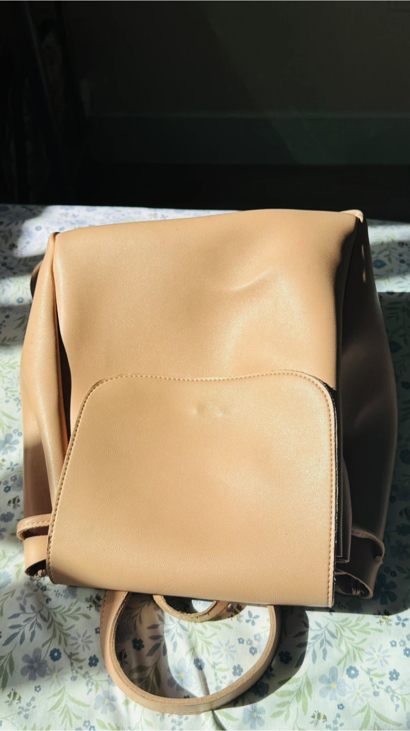 Light pink Backpack