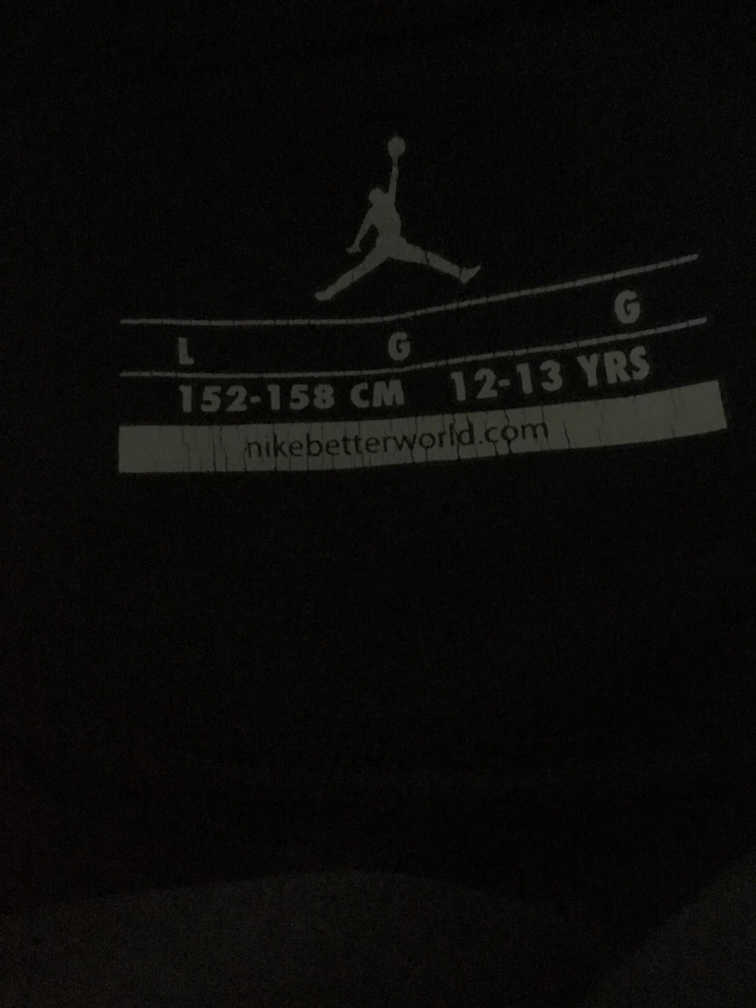 Jordan Dri-FIT Pullover Hoodie - Size L (12-13 Yrs)