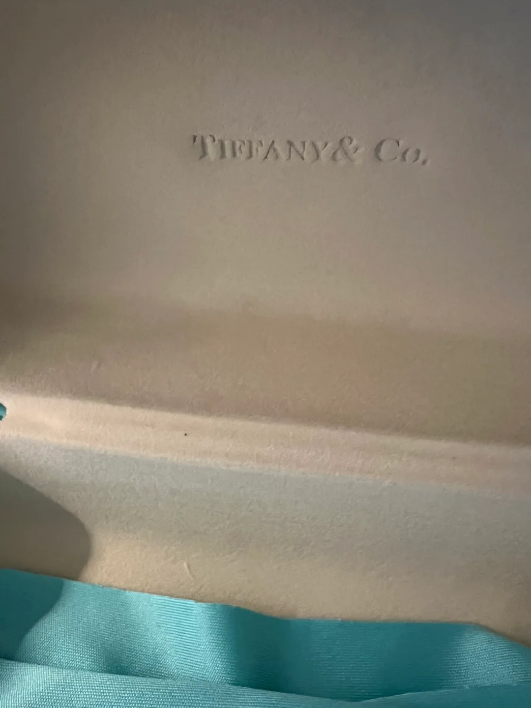 Tiffany & Co. Eyeglasses Case & Cloth image indicator(4)