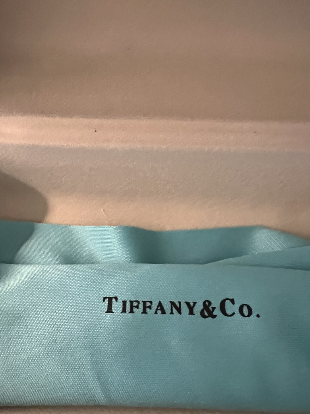 Tiffany & Co. Eyeglasses Case & Cloth - photo 3