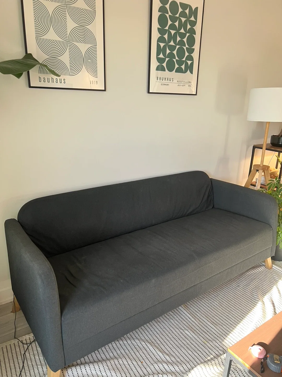 IKEA Landskrona Dark Grey Sofa image indicator(2)