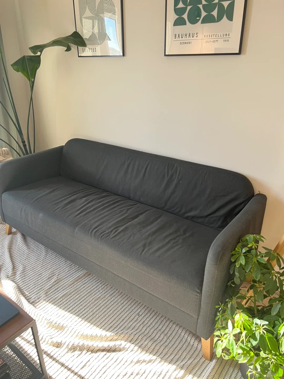 IKEA Landskrona Dark Grey Sofa image indicator(3)