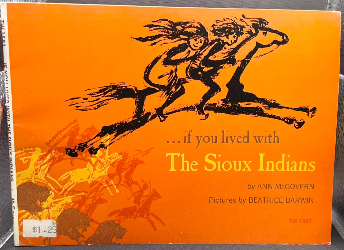 If You Lived With The Sioux Indians  1st edition