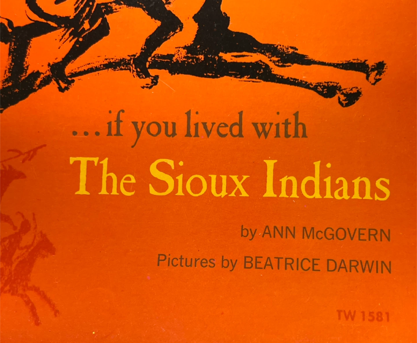 If You Lived With The Sioux Indians  1st edition - photo 2
