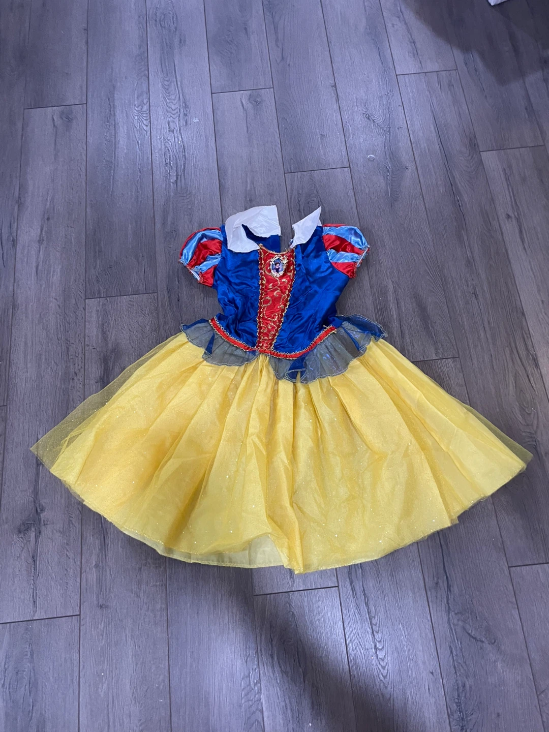 Disney Princess Dress-Up Costumes