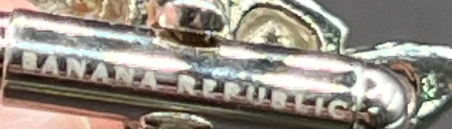 Banana Republic Turtle Cufflinks image indicator(3)