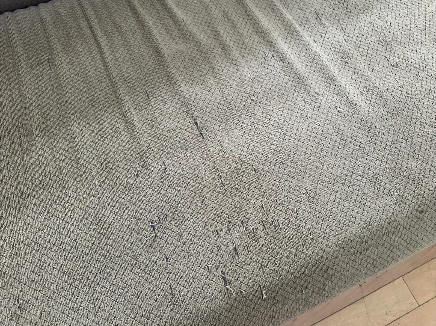 Chaise Lounge - Fair Condition image indicator(3)