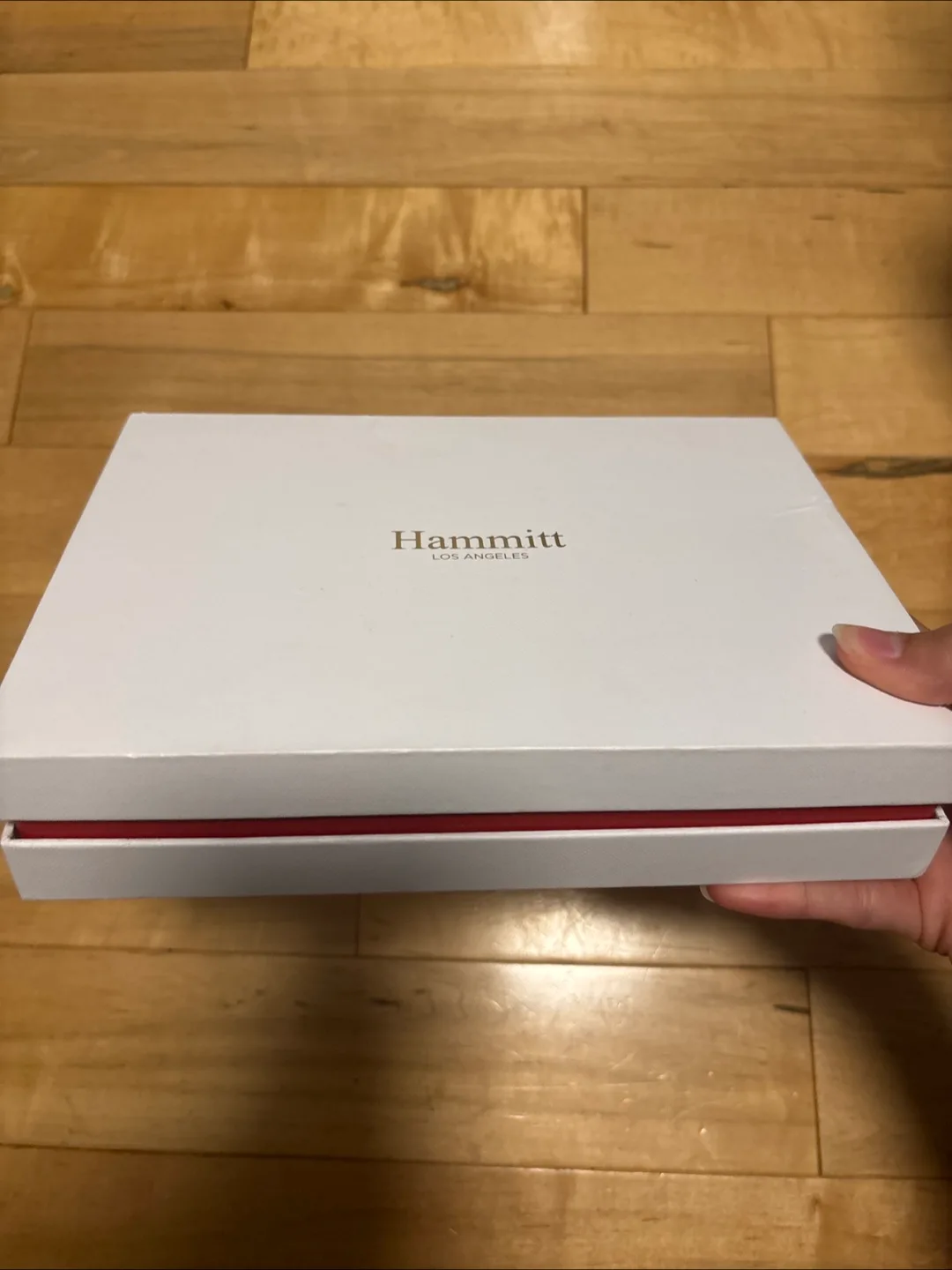 Hammitt Small Crossbody/Clutch - Purple Suede image indicator(4)