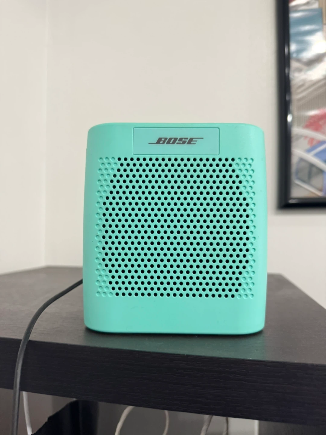 Bose Micro SoundLink Bluetooth Speaker - Mint
