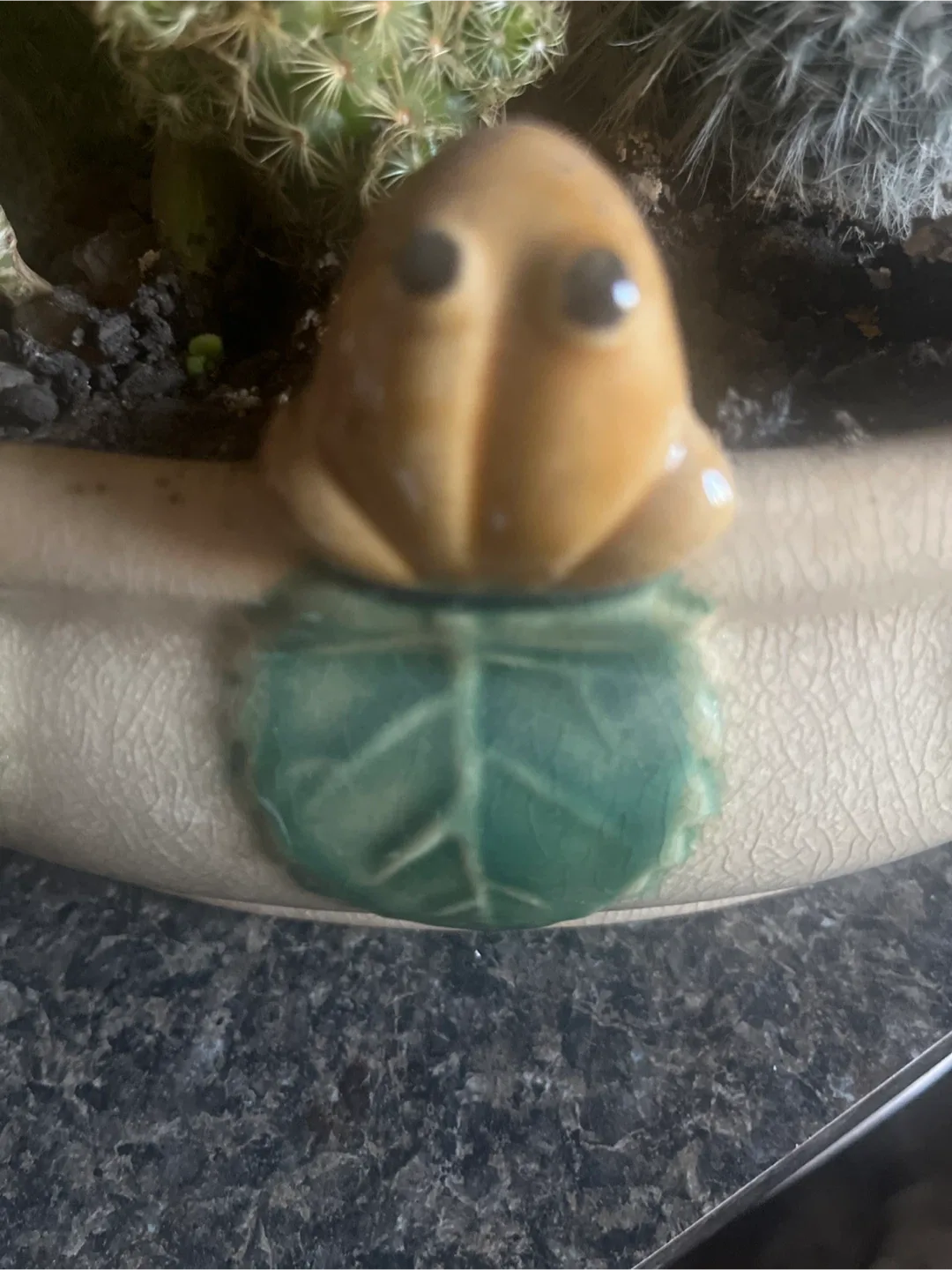 Cactus Arrangement in Frog Planter image indicator(4)