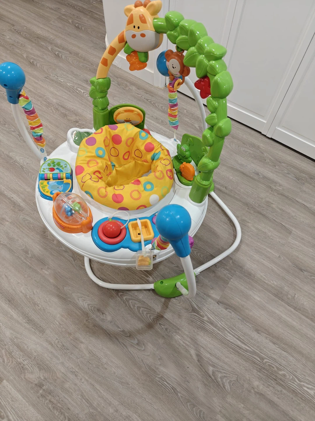 Fisher Price Go Wild Baby Jumper Activity Center