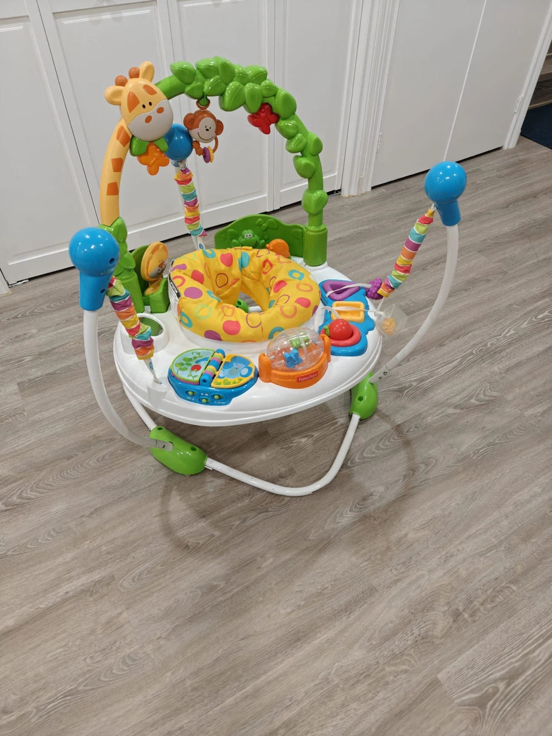Fisher Price Go Wild Baby Jumper Activity Center - photo 2