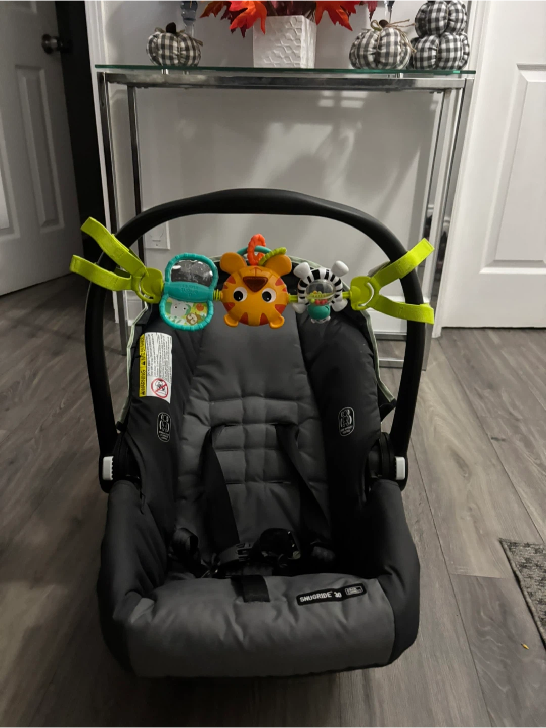 Graco SnugRide 35 Infant Car Seat With Base - photo 5
