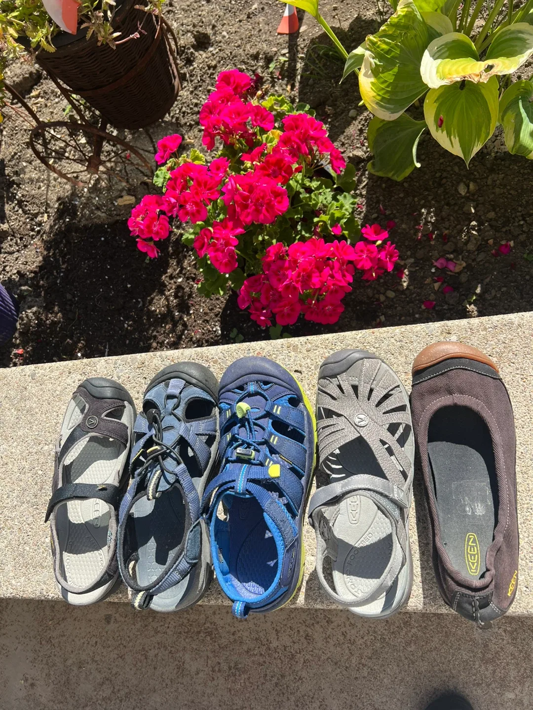 Keen Sandals - Assorted Styles & Sizes image indicator(2)