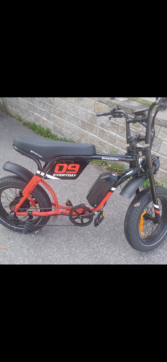 Everyday Shadow Ebike - photo 4