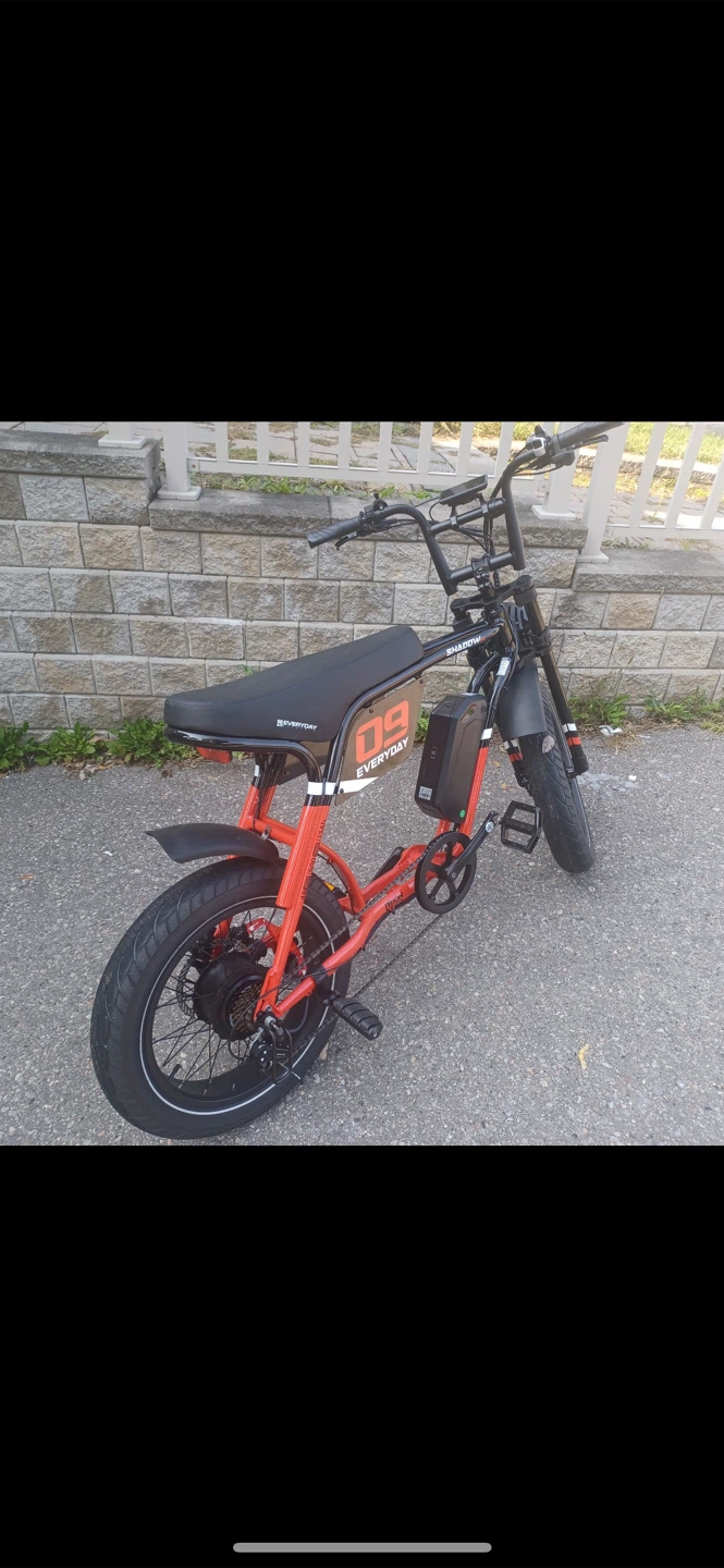 Everyday Shadow Ebike - photo 3