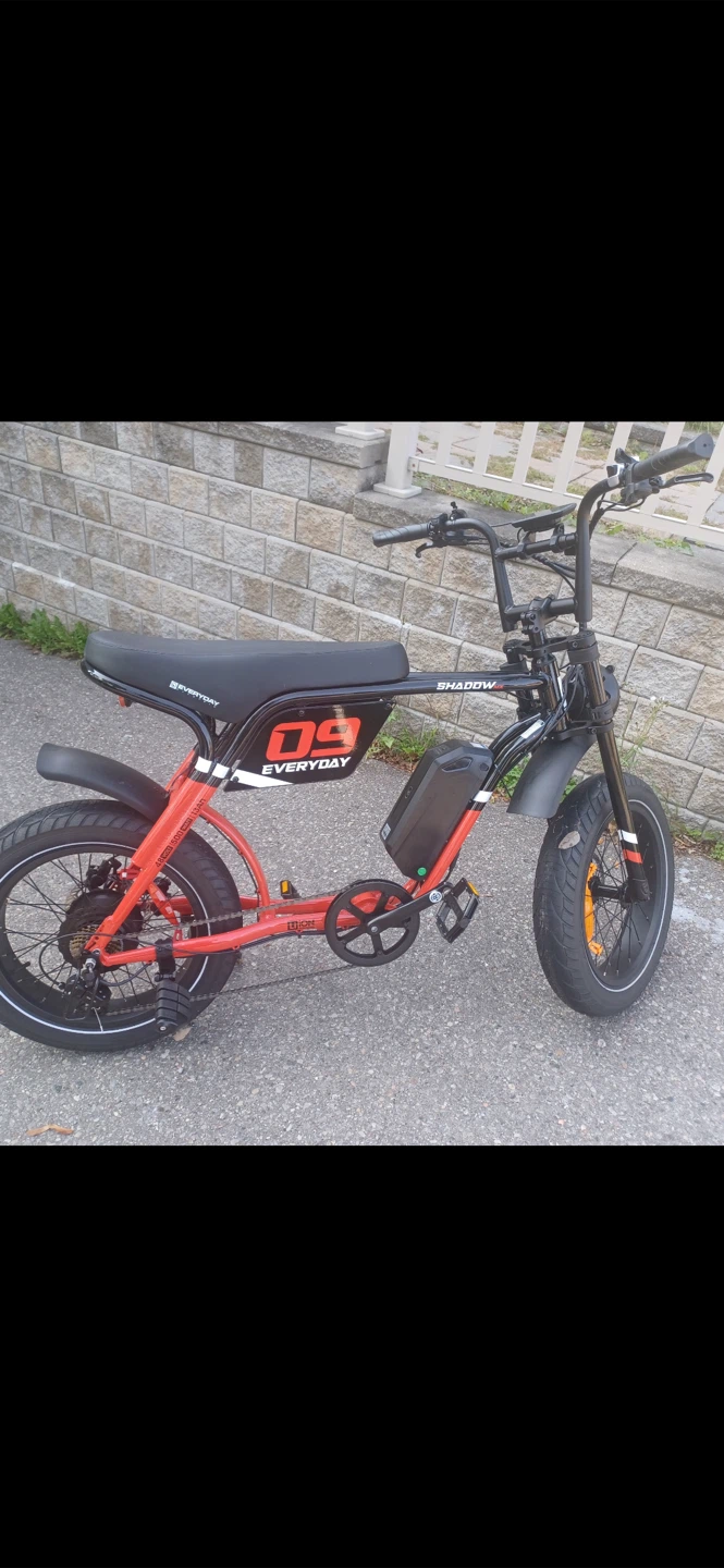 Everyday Shadow Ebike - photo 2