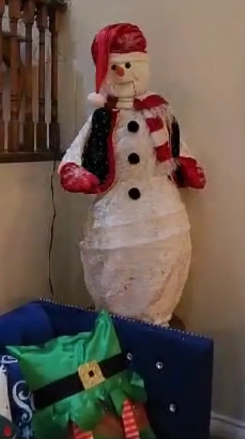 Singing/ dancing frosty snowmen $350 FIRM image indicator(3)