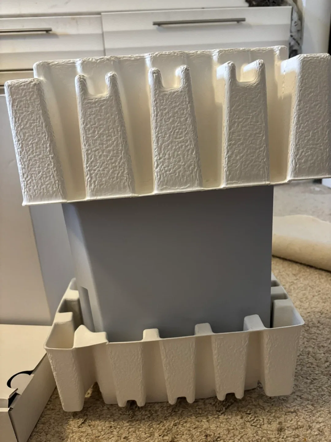 PS5 Digital Version image indicator(3)