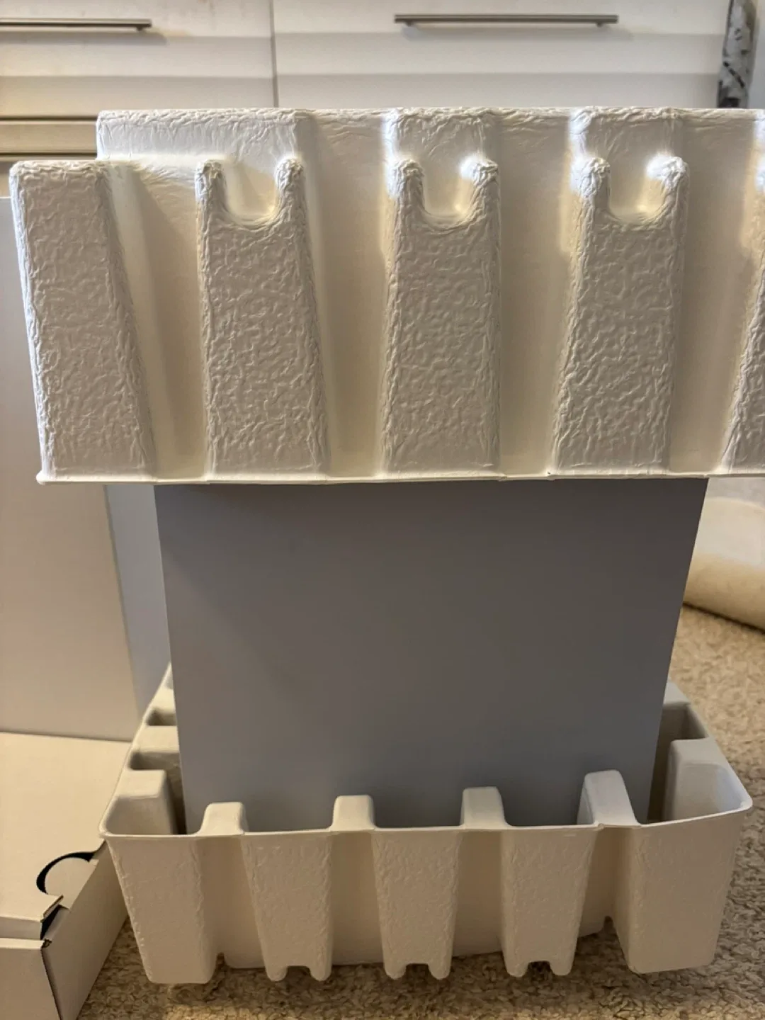 PS5 Digital Version image indicator(5)