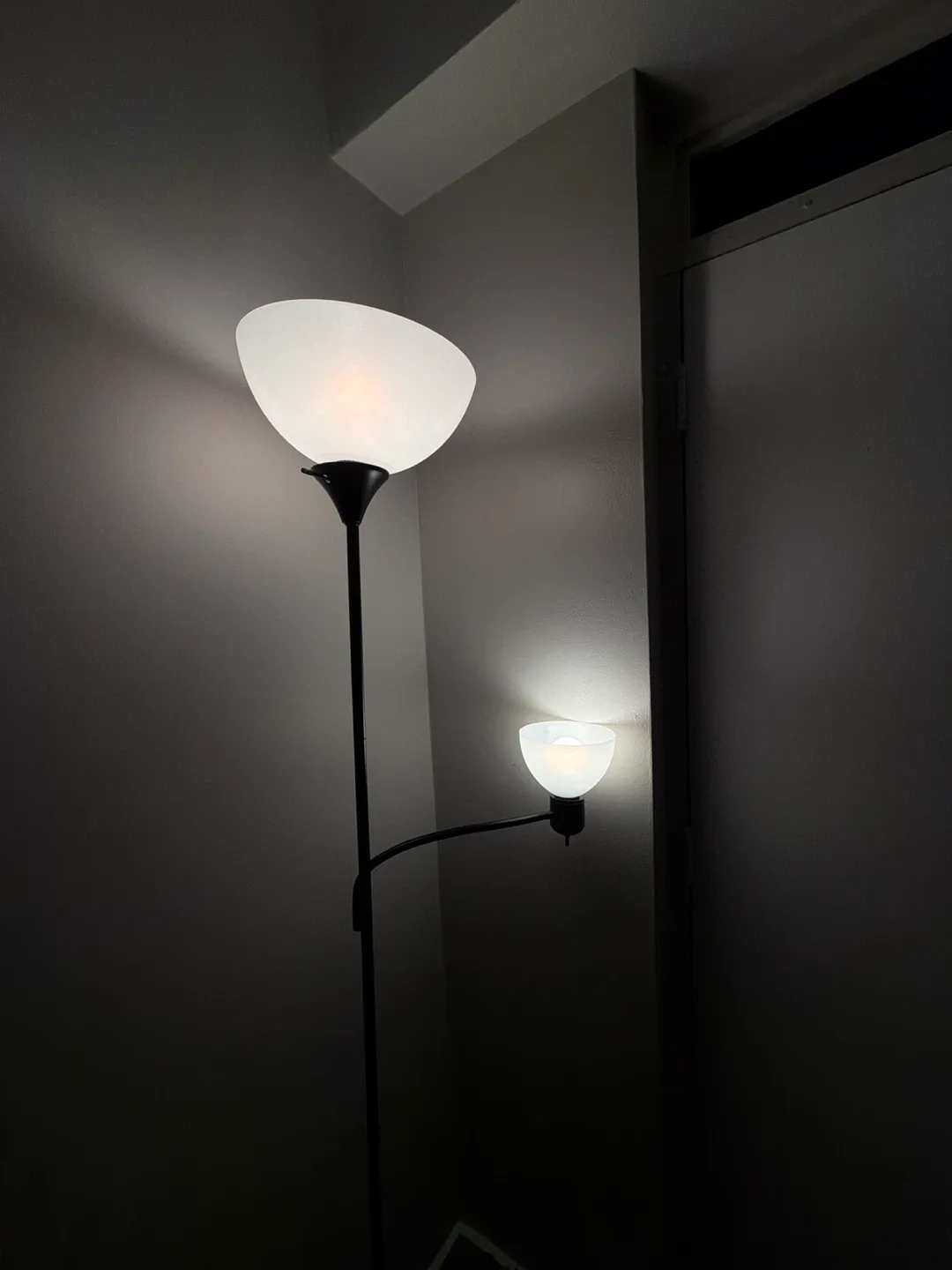 MUST GO BY 20TH Adjustable Floor Lamp with Reading Light image indicator(2)