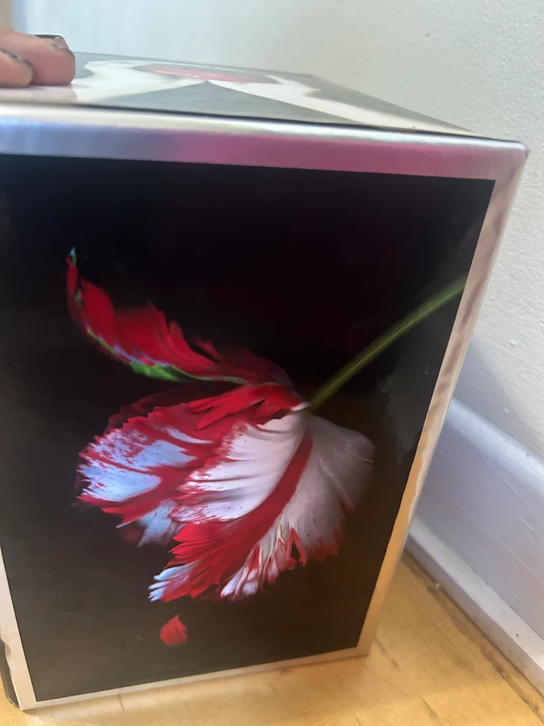 Twilight Saga Complete Collection by Stephenie Meyer image indicator(4)