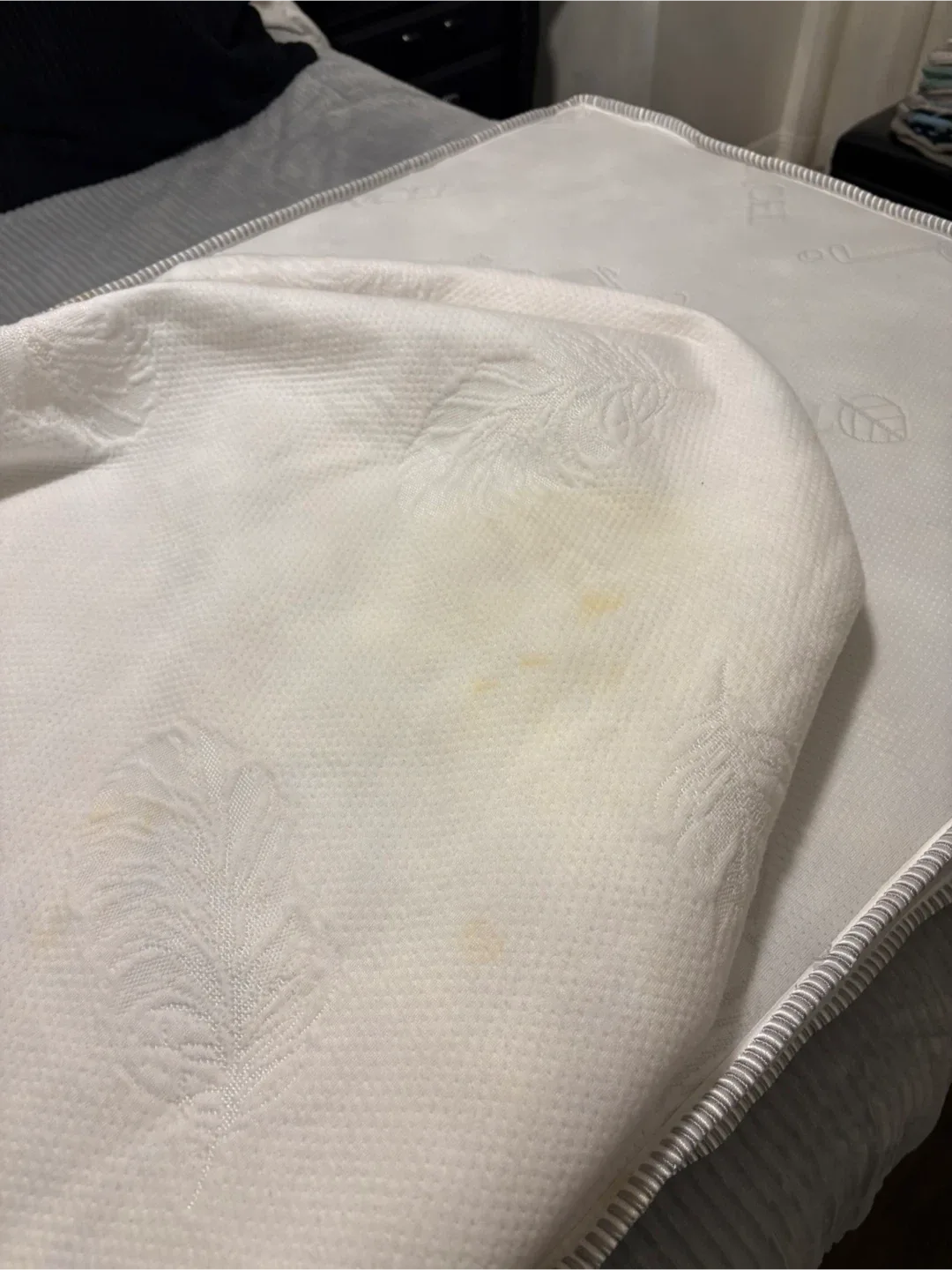 🥕Simmons Kids Tencel Mattress (0-12 Months) image indicator(9)