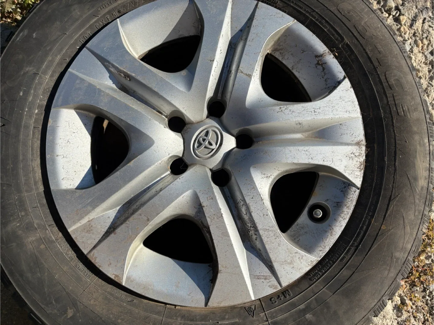 Two Toyota Rims thumbnail