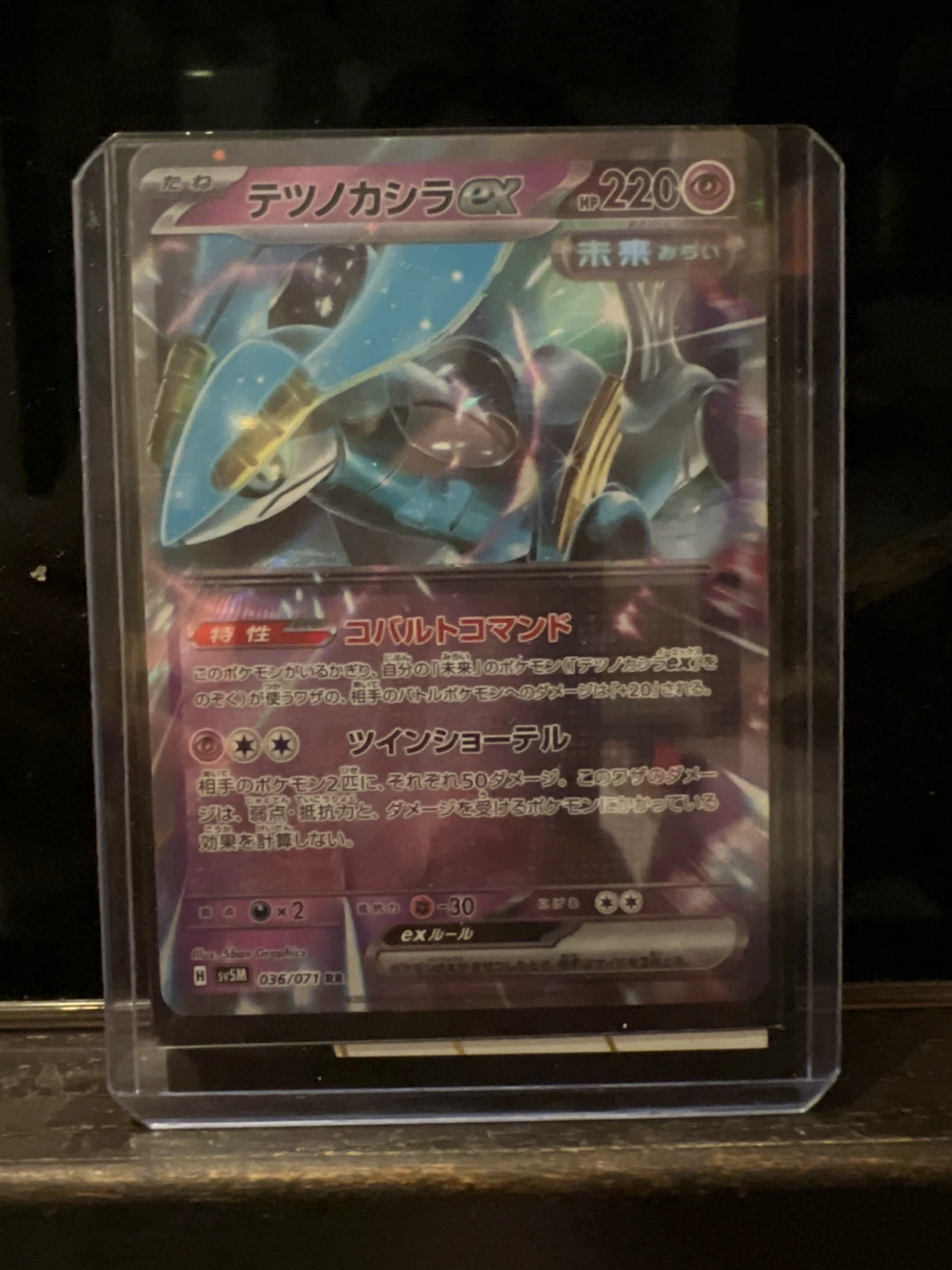 Pokemon Tetsu No Kashira EX Card
