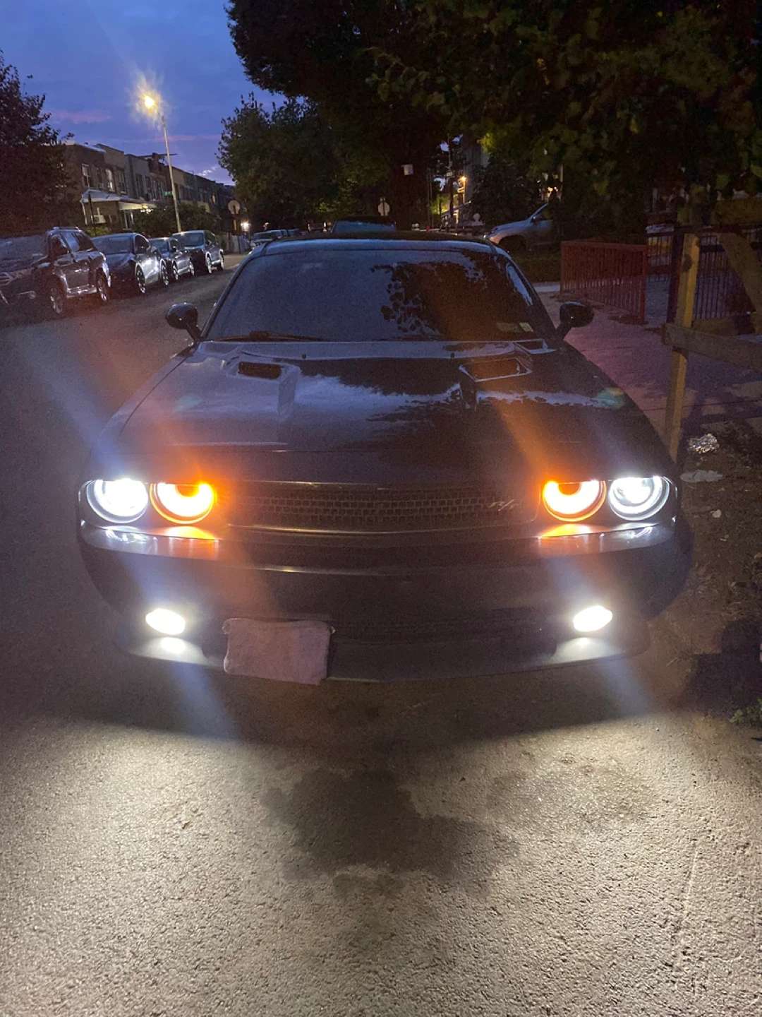 Dodge Challenger - Black - photo 3