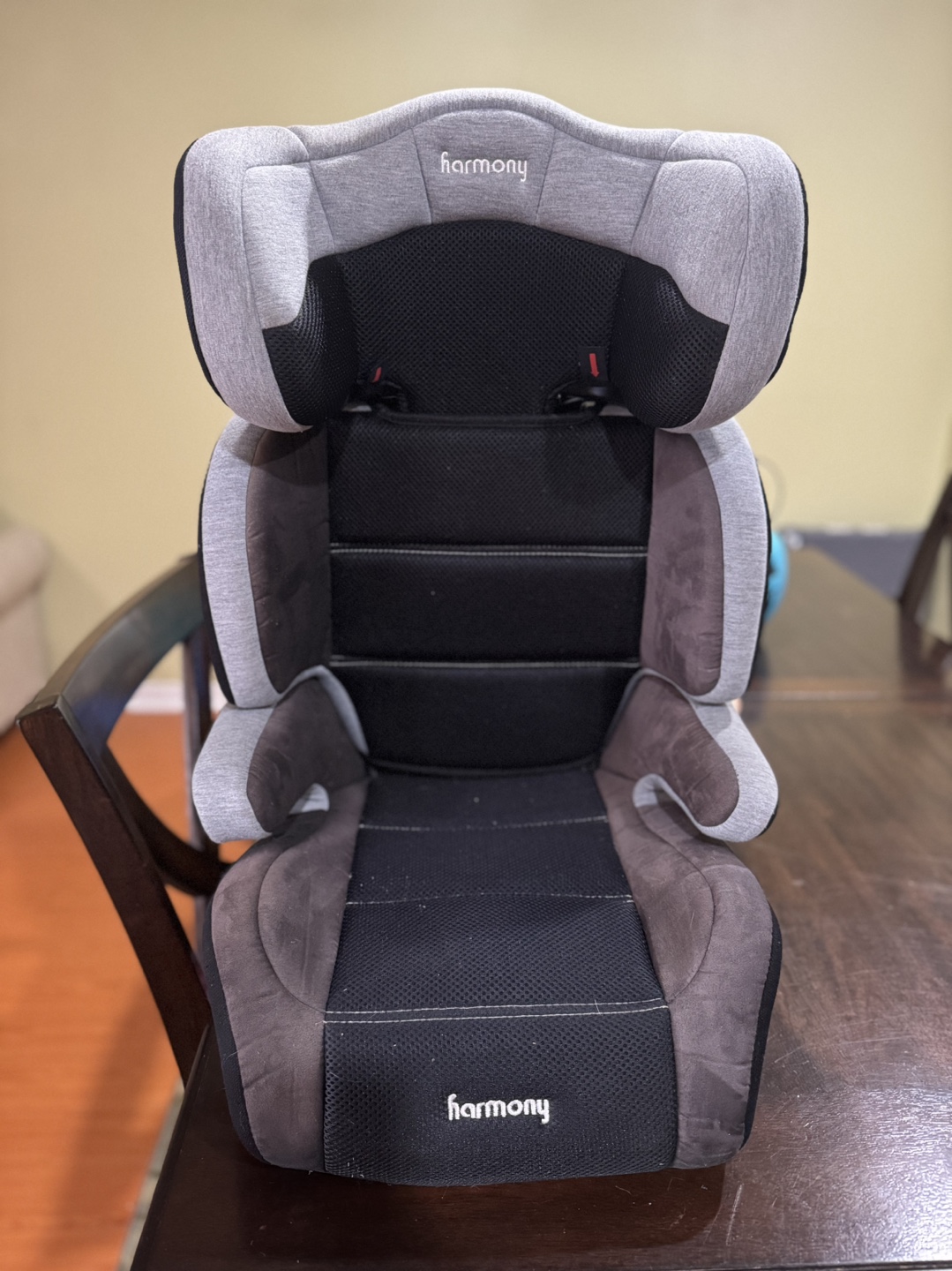 Harmony Youth Booster Car Seat - Grey & Black - photo 3