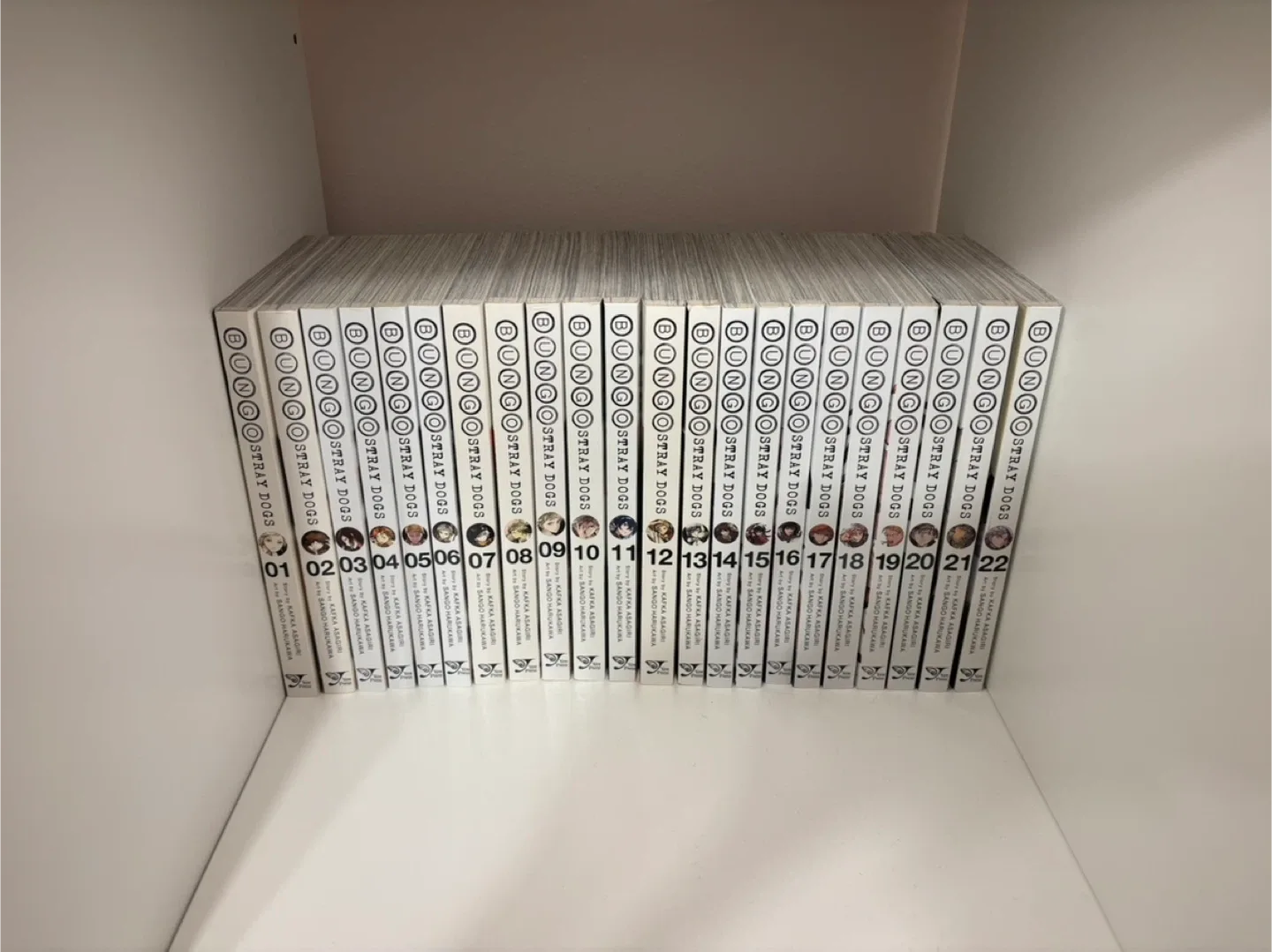 Bungo Stray Dogs Mangas Chapters 1-22 thumbnail