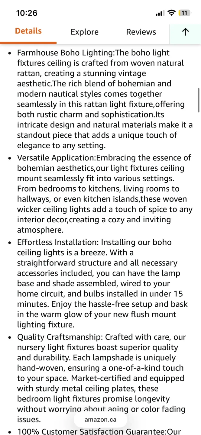 Boho Woven Rattan Ceiling Light Fixture image indicator(5)