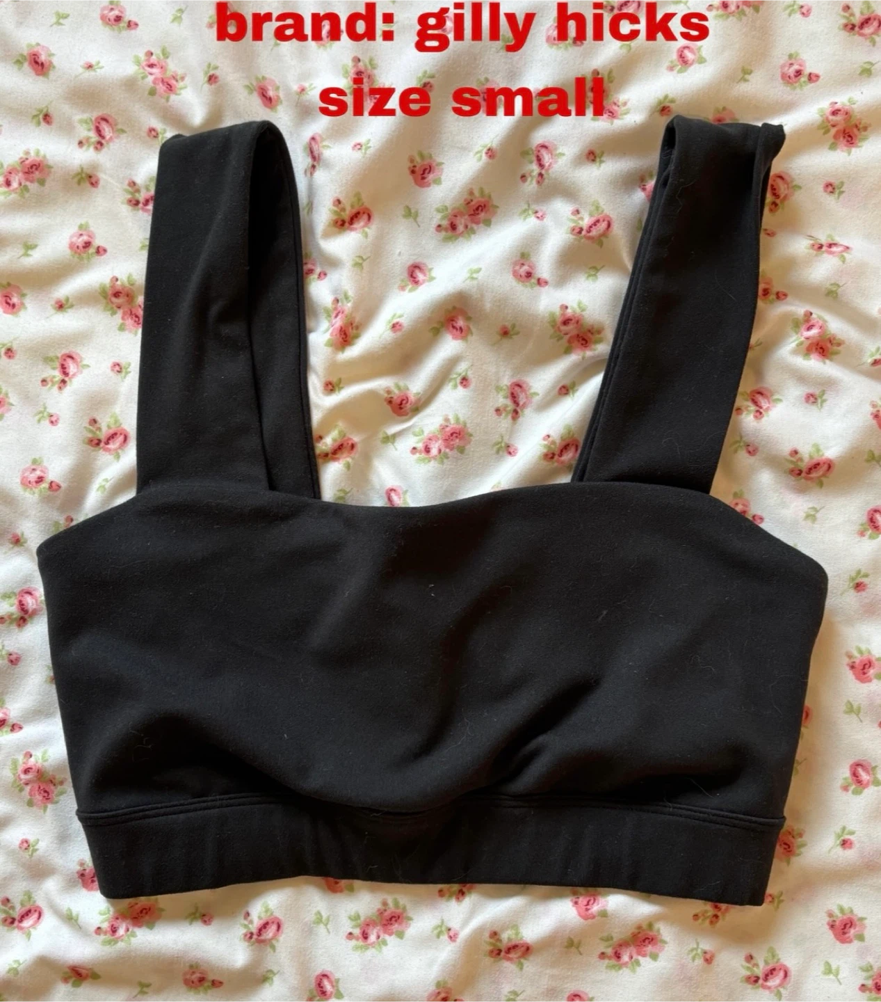 Gilly Hicks Sports Bra