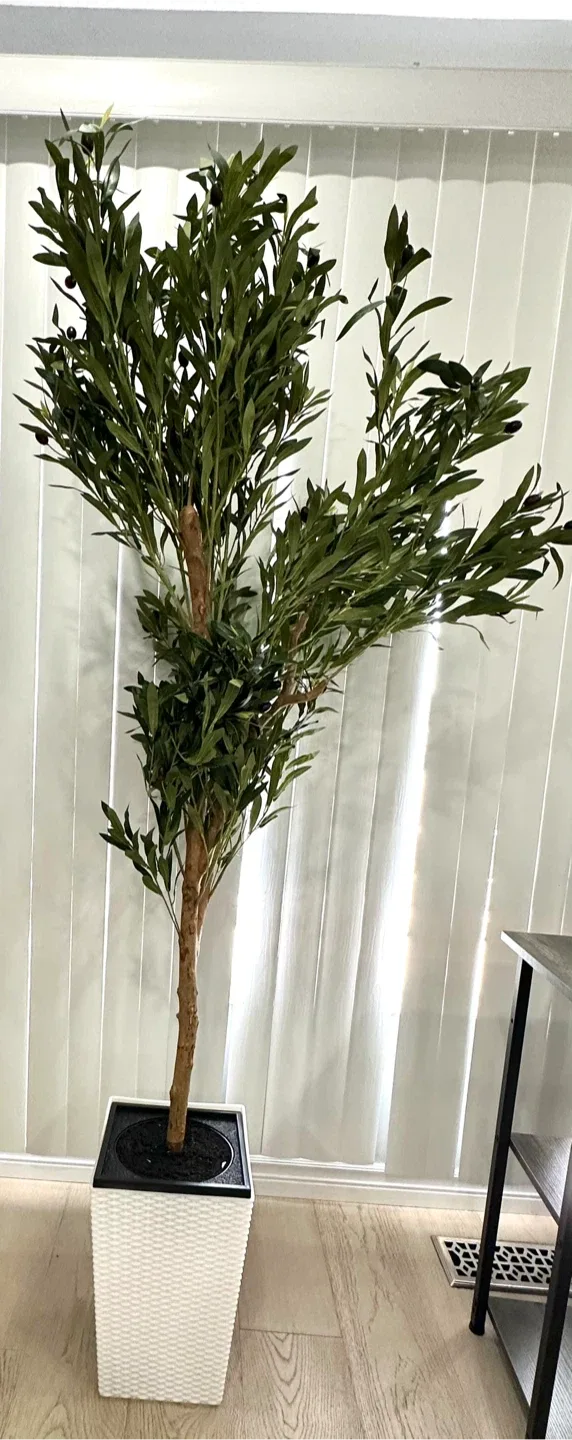 Faux Olive Tree in Pot - 6ft Tall image indicator(2)
