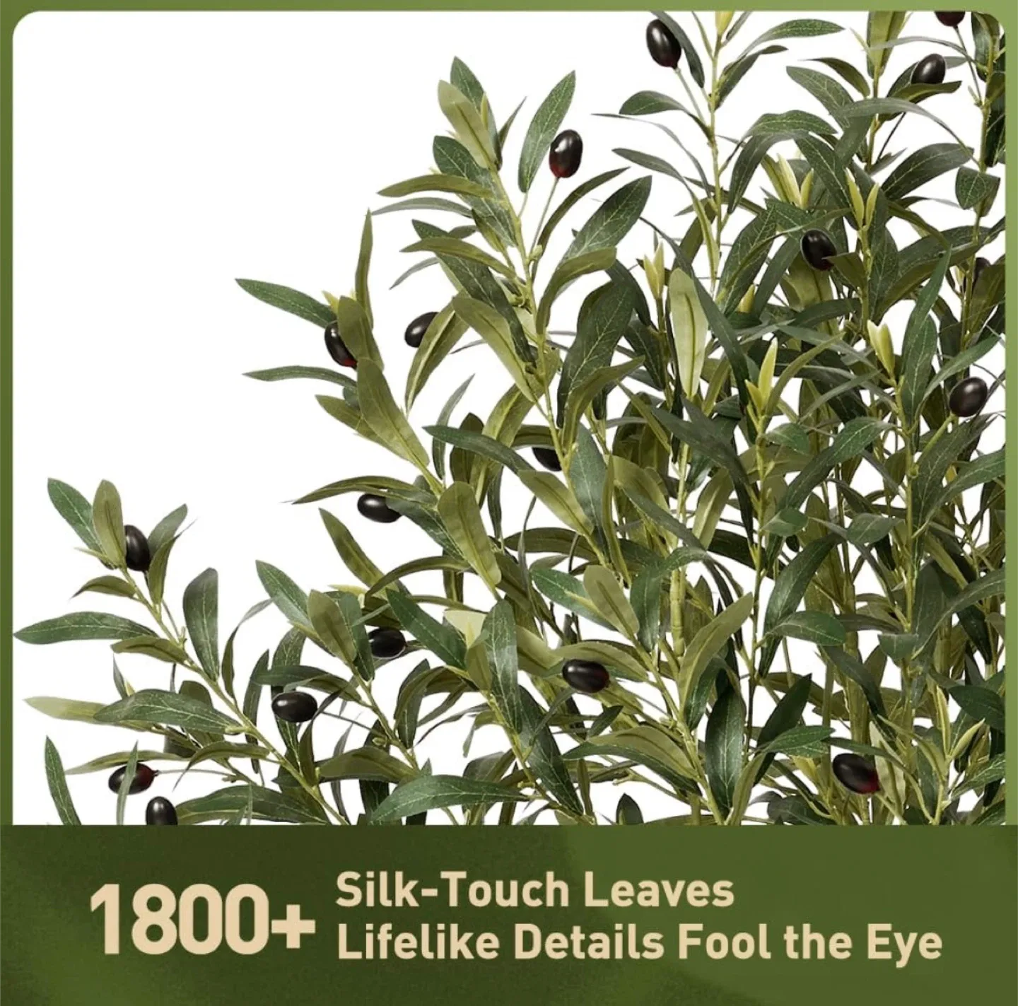 Faux Olive Tree in Pot - 6ft Tall image indicator(4)