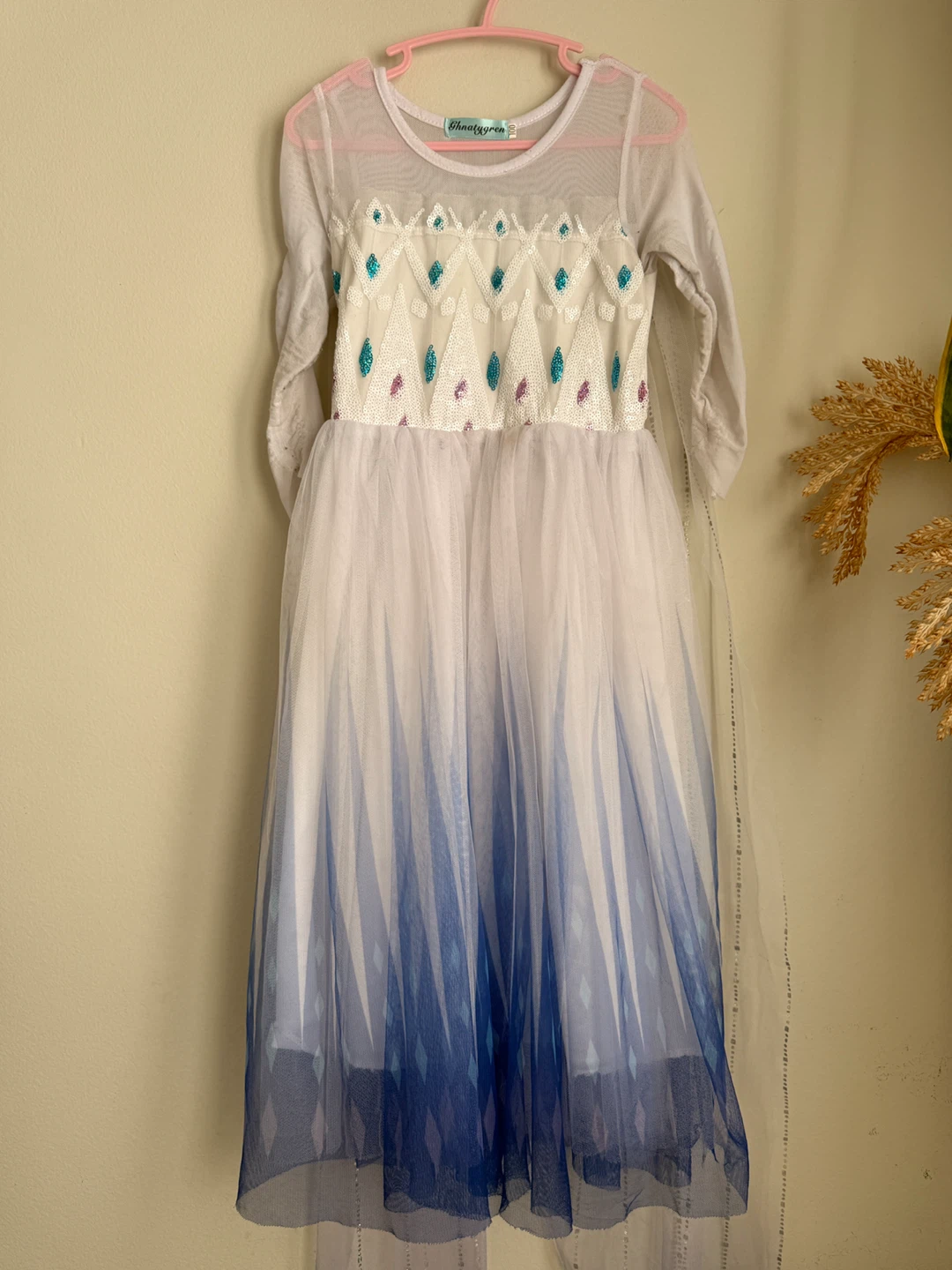 Elsa Frozen & Rapunzel Dress Up Costumes