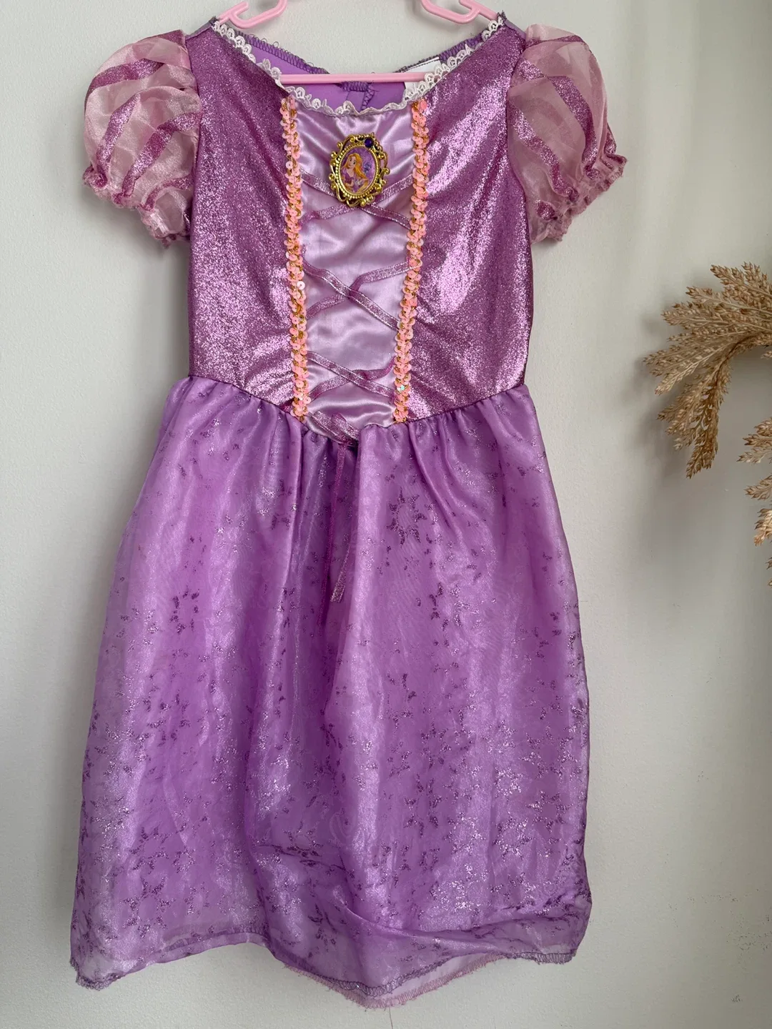 Elsa Frozen & Rapunzel Dress Up Costumes image indicator(3)