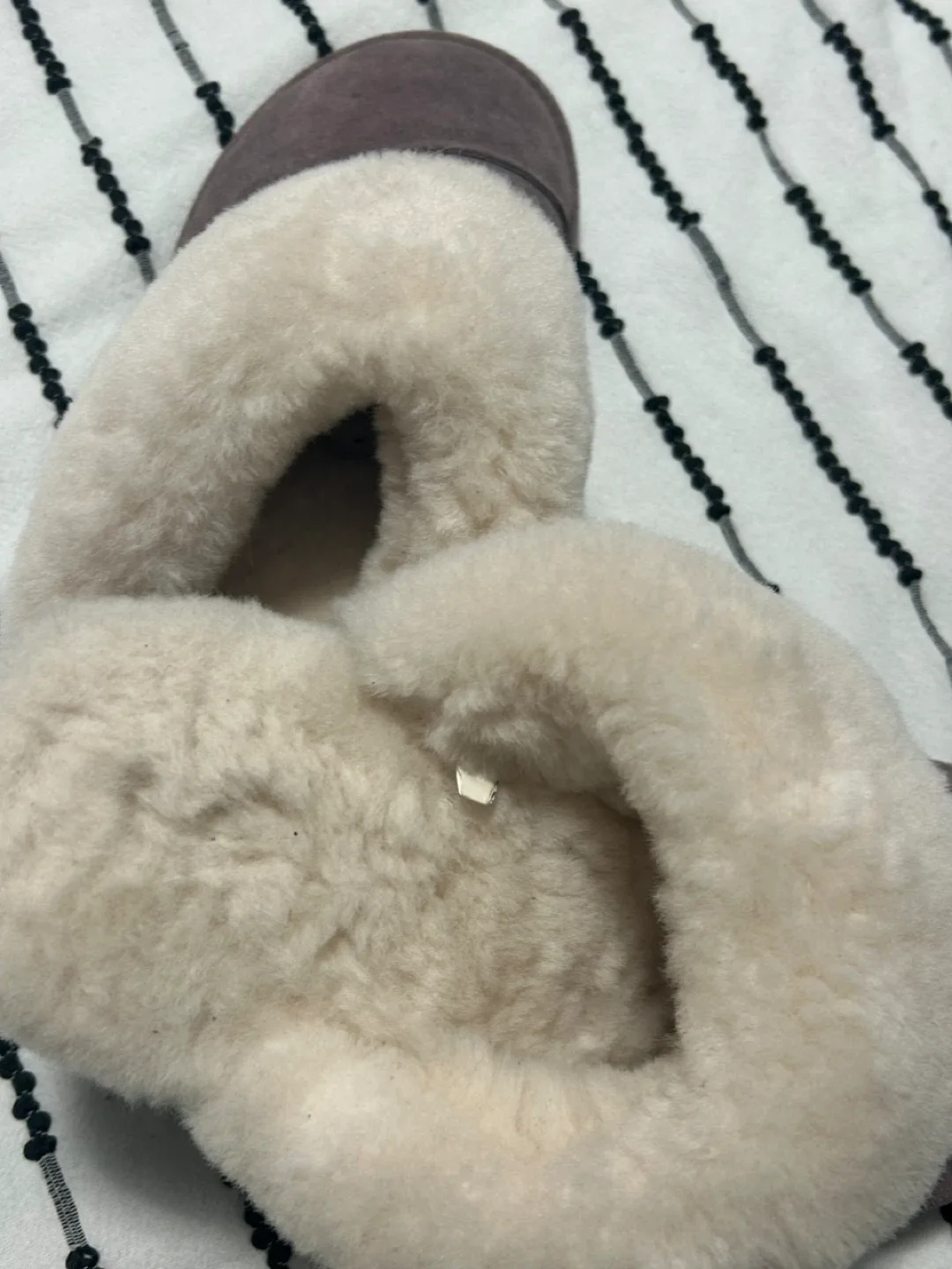 Nuknuuk image indicator(3)