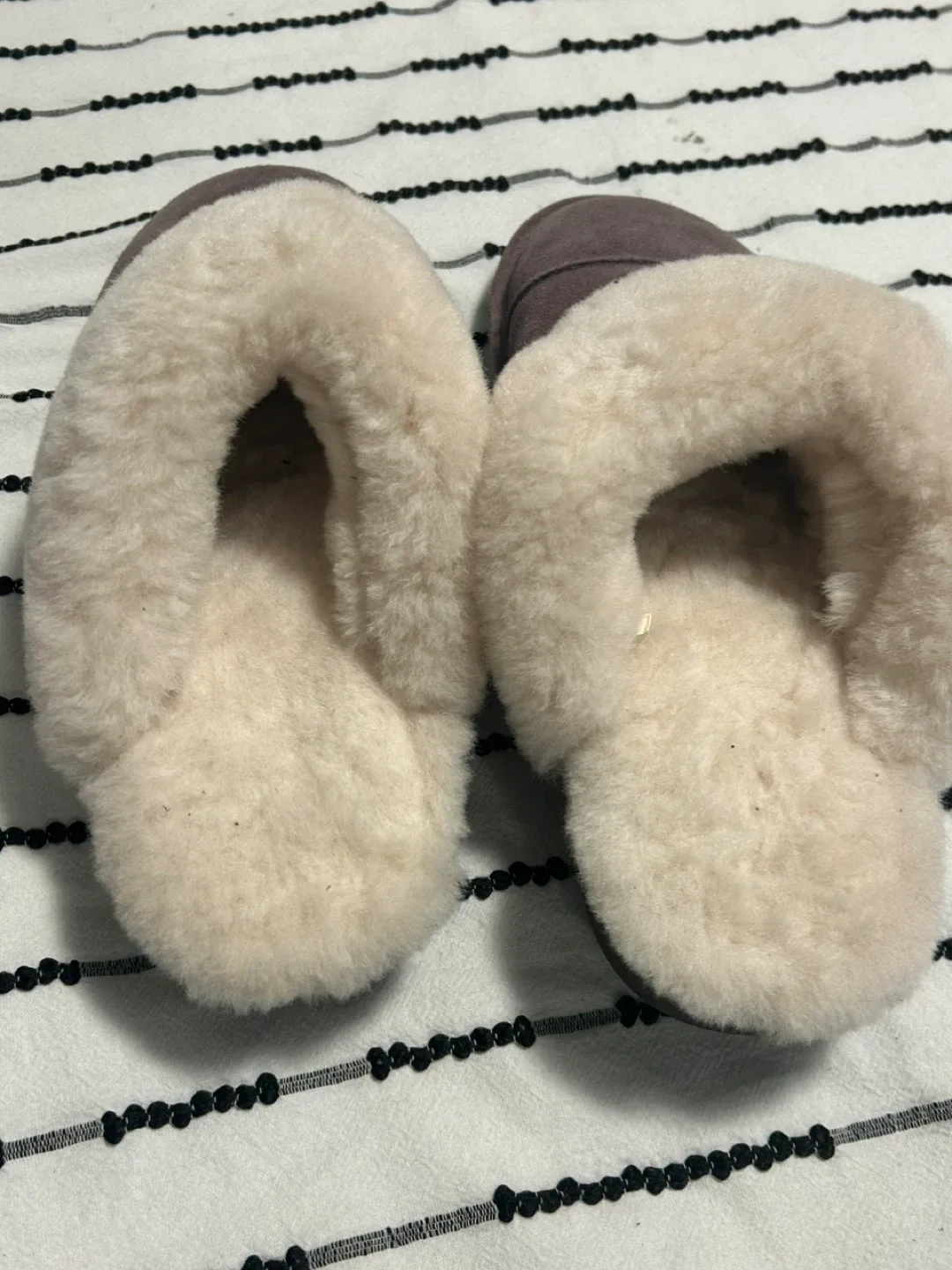 Nuknuuk image indicator(2)