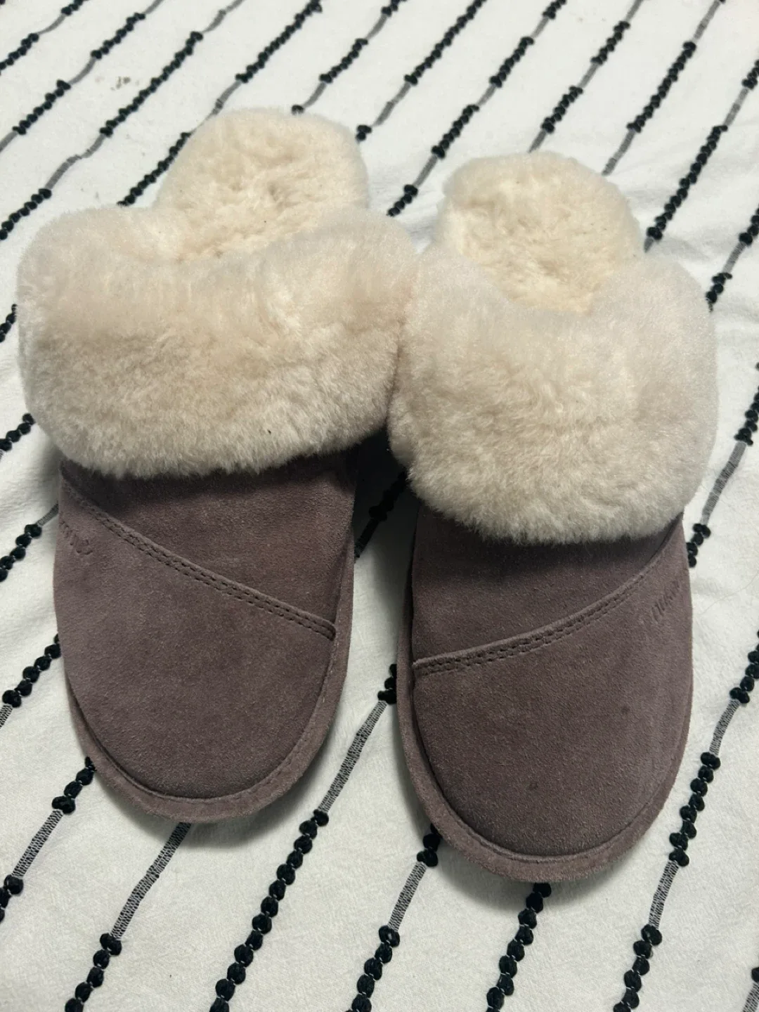 Nuknuuk image indicator(5)