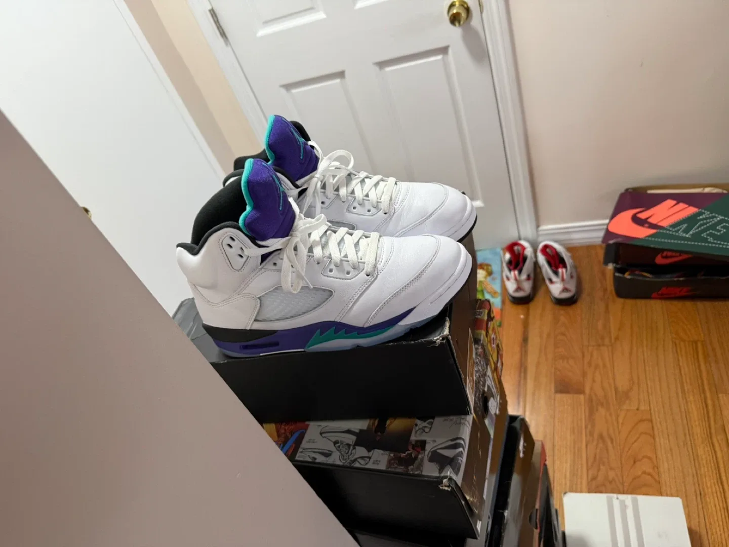Nike Air Jordan 5 Alternate Grape Size 10.5 image indicator(2)