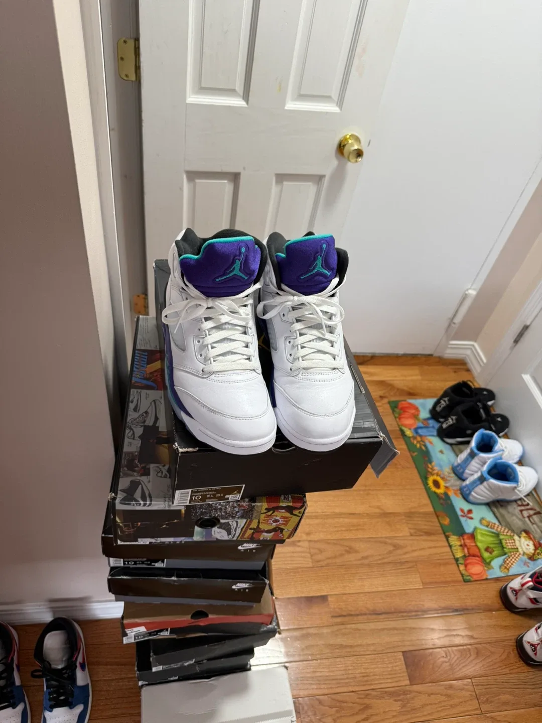 Nike Air Jordan 5 Alternate Grape Size 10.5 image indicator(3)